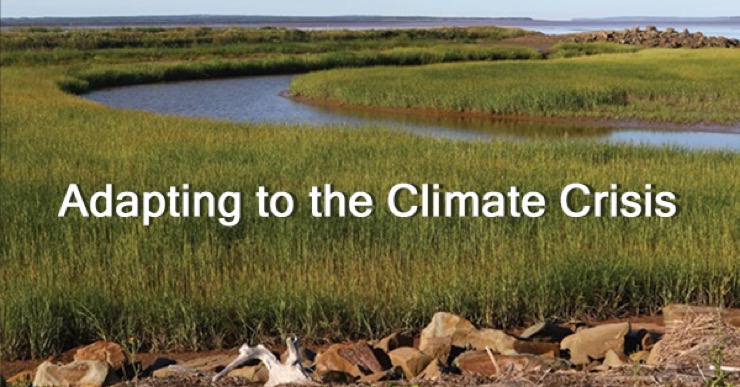 Adapting to the climate crisis (restored saltmarshes along the Bay of Fundy in Nova Scotia).