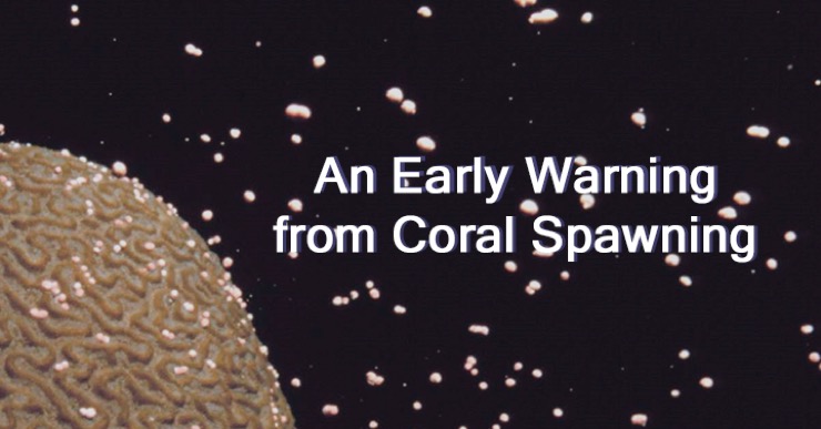 An Early Warning from Coral Spawning, a 