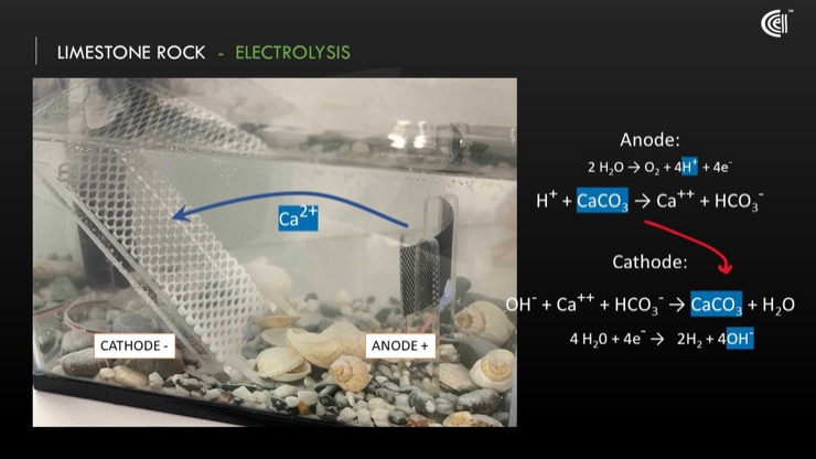 The equations and tank set up that illustrate our electrolysis process.