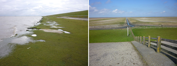 Salt Marshes in front of Dike