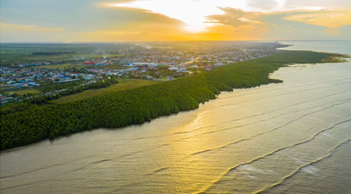 Successful nature-based coastal protection in Guyana