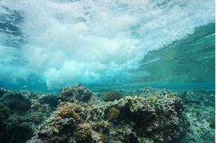 Underwater view of wave breaking over reef