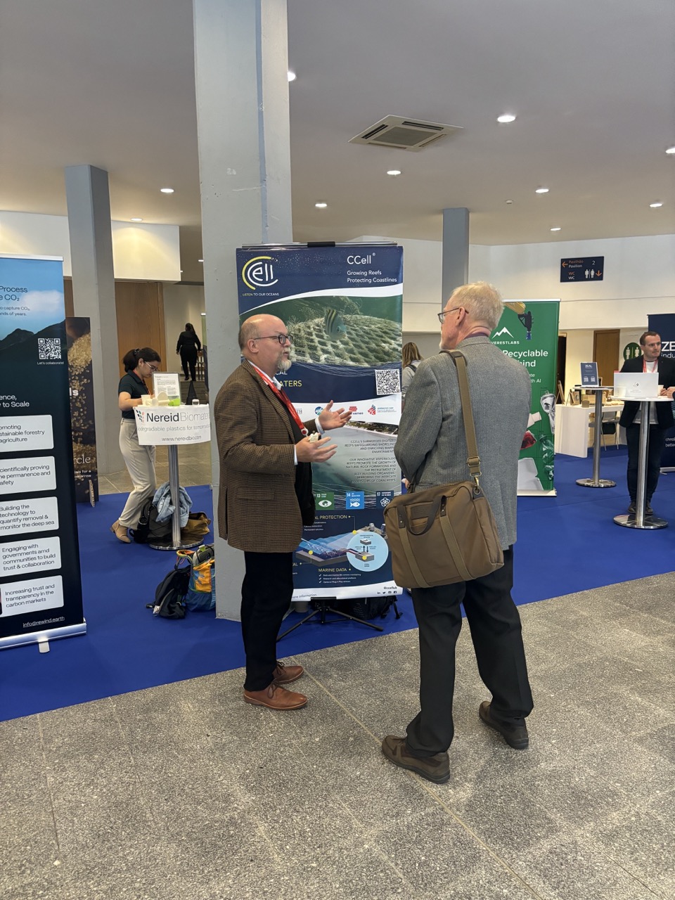 CCell economist stand