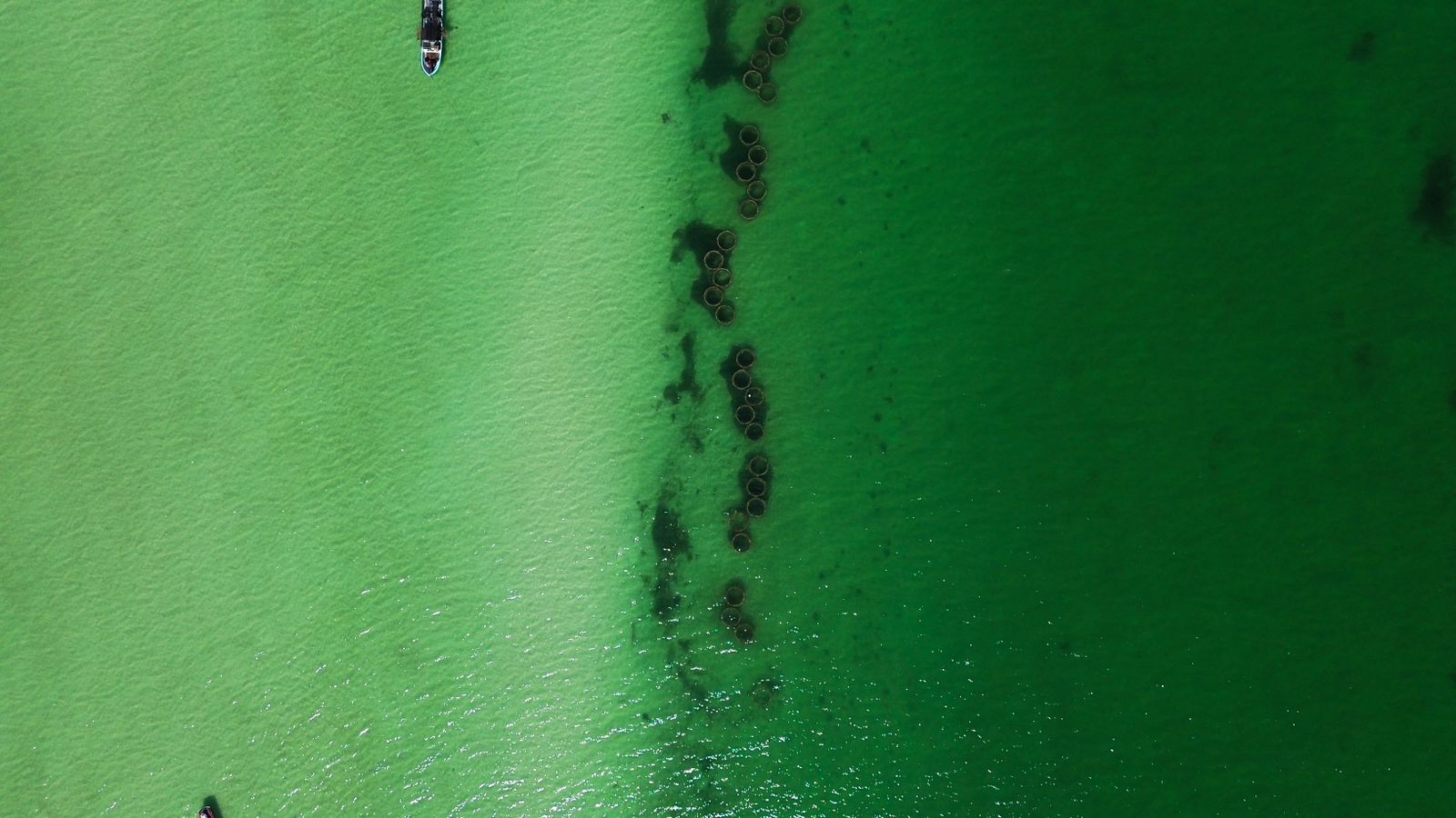 Aerial View of beach recovery