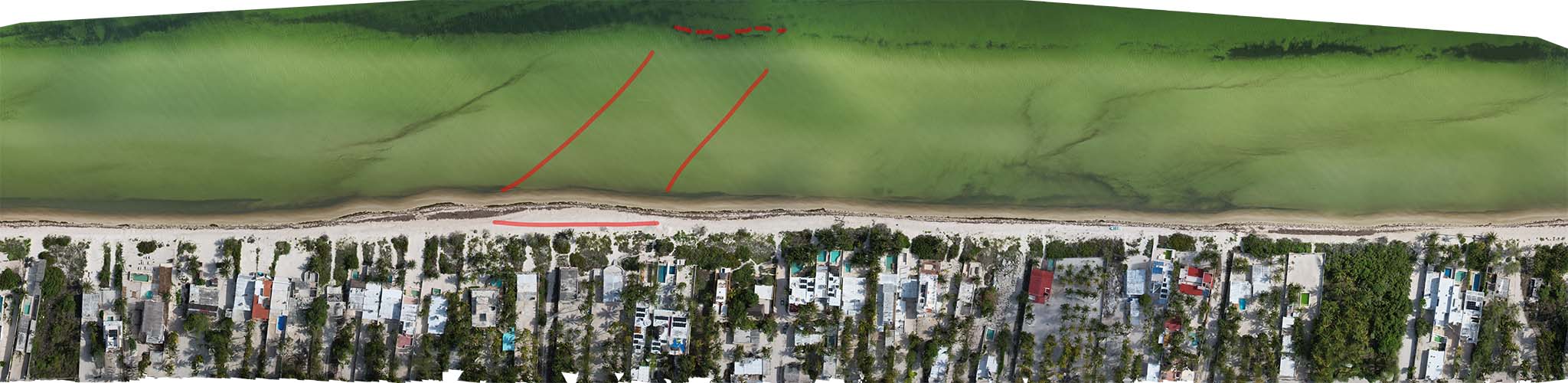 Aerial Image of the beach